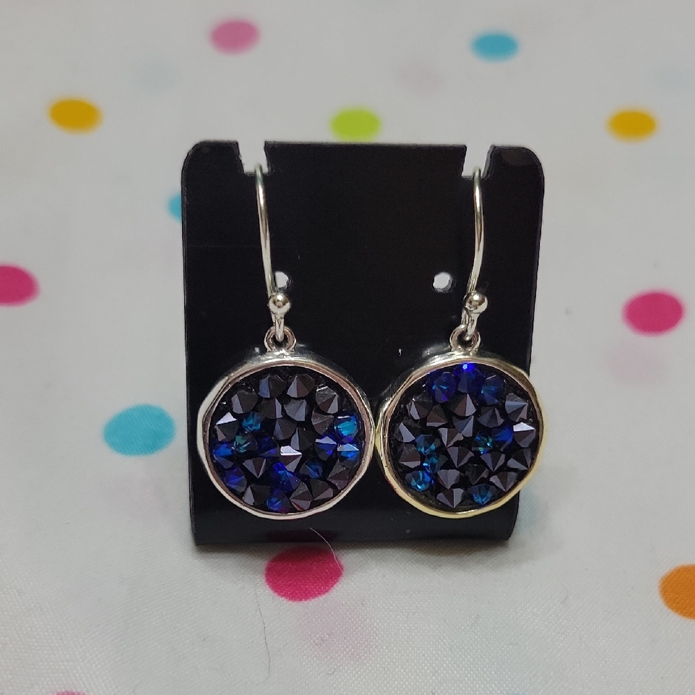 Elegant Silver and Blue Crystal Earrings
